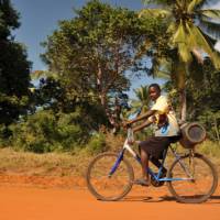 Local boy cycling along a rural road | Bruce Taylor