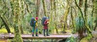Walking in Cradle Mountain Lake St Clair National Park | Don Fuchs