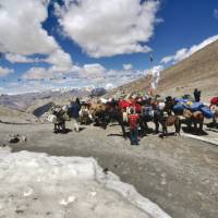 A spectacular Himalayan pass in Ladakh | Adam Mussolum