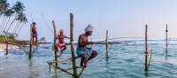 The famous Stilt fisherman of Sri Lanka | Richard I'Anson