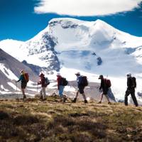 Hikers along Wilcox Pass near the Columbia Ice Fields | A. Greenberg