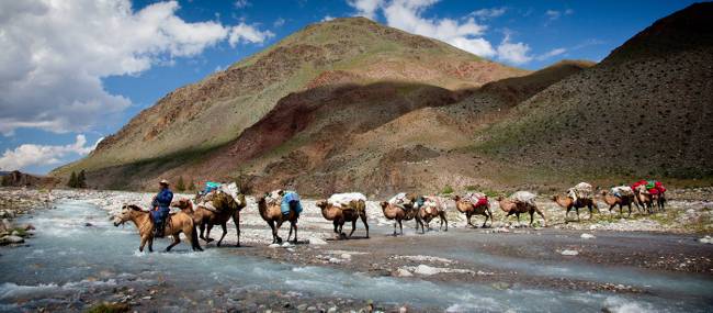 Camel crossing, Mongolia | Cam Cope