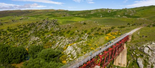 Cycling on the Otago Rail Trail | Lachlan Gardiner