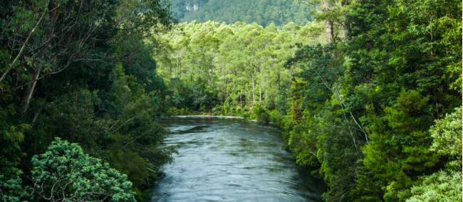 The Franklin River cuts through the south-west Tasmanian wildernerss | Glenn Walker