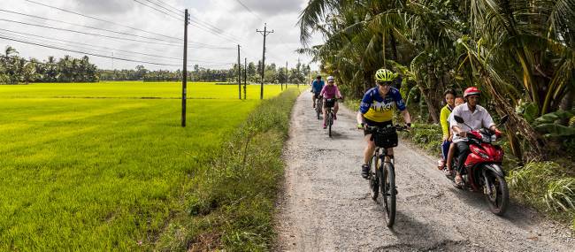 Cycling through beautiful rice fields in Cambodia | Lachlan Gardiner